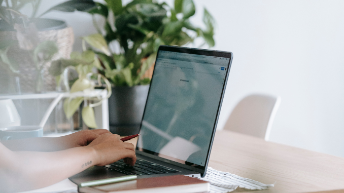 11. Dropshipping or E-Commerce
